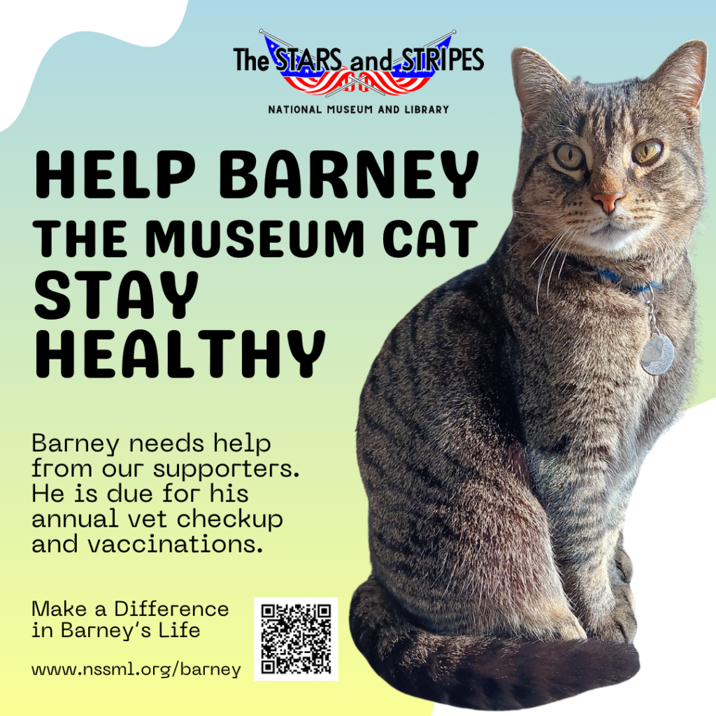 Help Barney the Museum Cat Stay Healthy