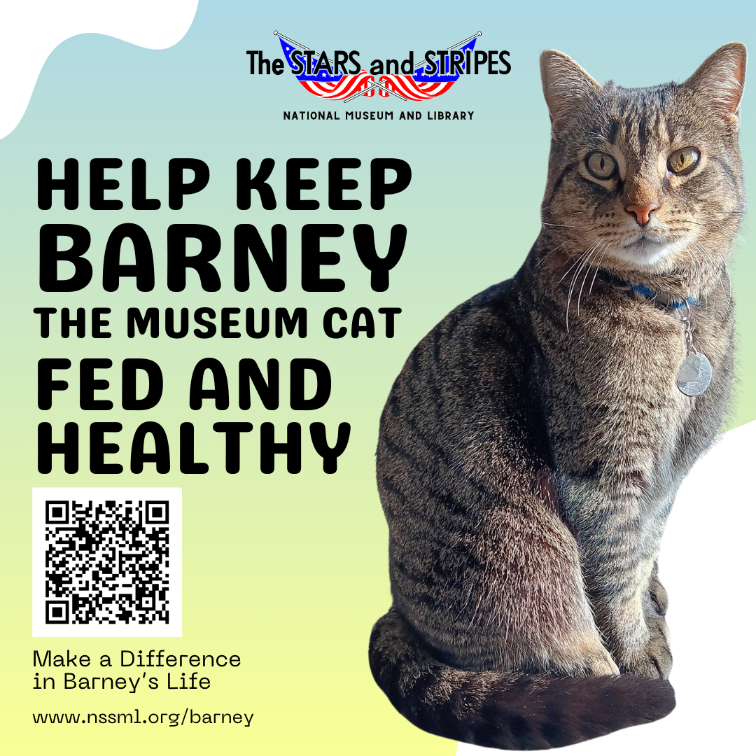 Help Keep Barney The Museum Cat Fed and Healthy